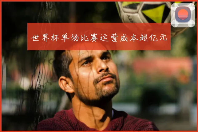 世界杯单场比赛运营成本超亿元