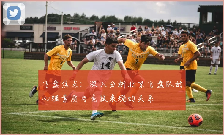 飞盘焦点：深入分析北京飞盘队的心理素质与竞技表现的关系
