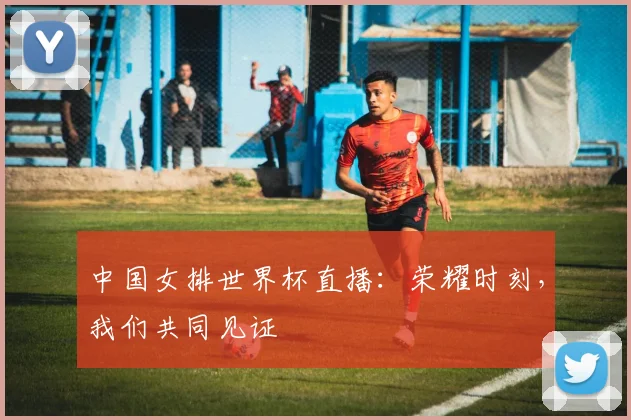 中国女排世界杯直播：荣耀时刻，我们共同见证