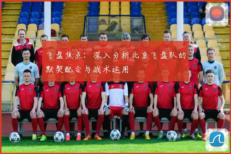 飞盘焦点：深入分析北京飞盘队的默契配合与战术运用