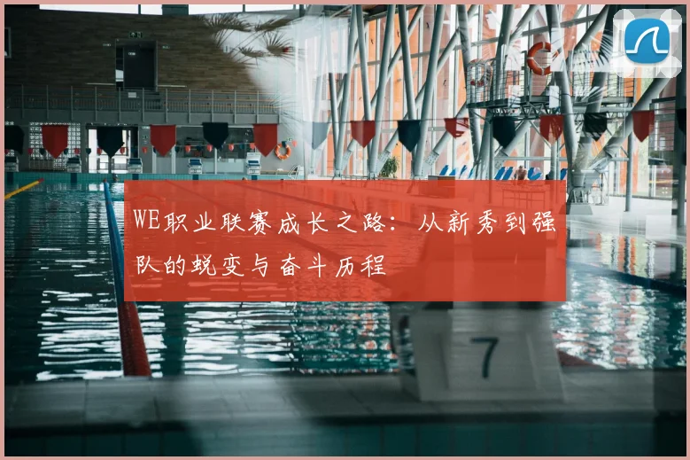 WE职业联赛成长之路：从新秀到强队的蜕变与奋斗历程