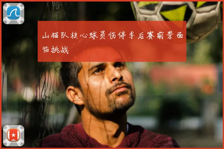 山猫队核心球员伤停季后赛前景面临挑战