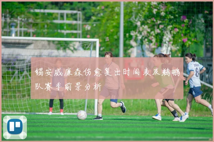 锡安威廉森伤愈复出时间表及鹈鹕队赛季前景分析