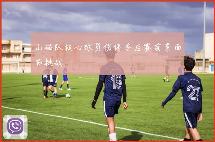 山猫队核心球员伤停季后赛前景面临挑战