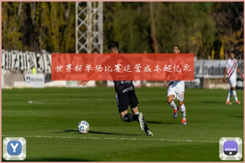世界杯单场比赛运营成本超亿元