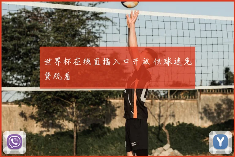 世界杯在线直播入口开放 供球迷免费观看