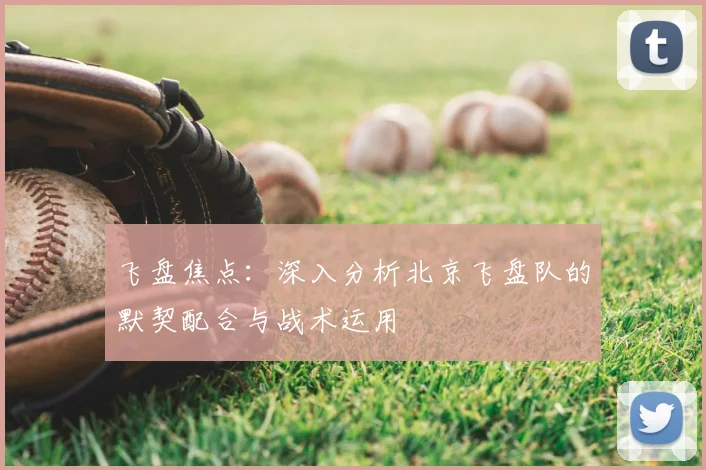 飞盘焦点：深入分析北京飞盘队的默契配合与战术运用